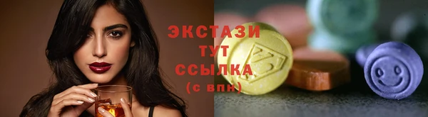 соль ск Арсеньев