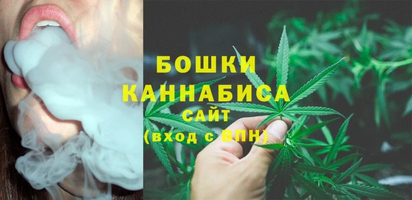 PSILOCYBIN Армянск